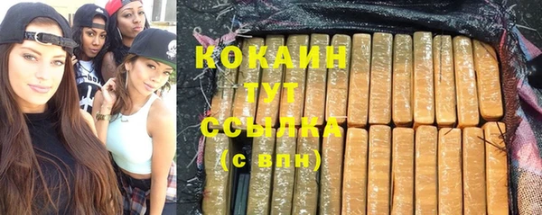 экстази Бородино