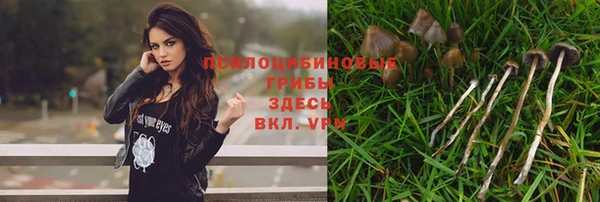 apvp Бронницы