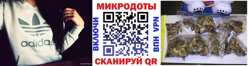 Галлюциногенные грибы Psilocybine cubensis  даркнет сайт  Называевск 