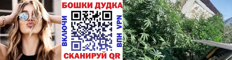 закладка  Называевск  МАРИХУАНА гибрид 